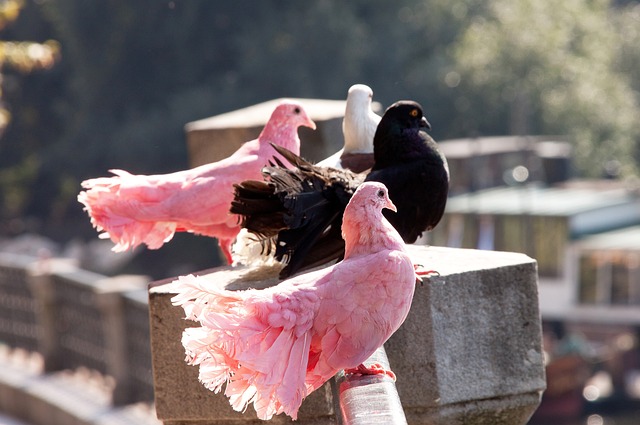 努力的最好 努力的最好