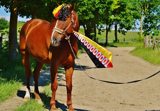 见证中国冰 见证中国冰