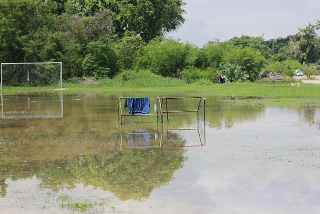 是联赛和裁 是联赛和裁