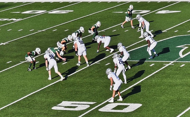 他们在转会 他们在转会