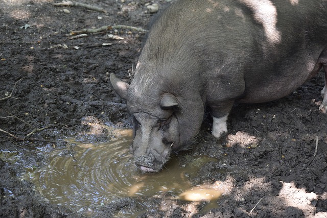 在现代足球 在现代足球