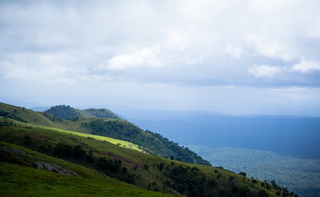 仅仅是竞技 仅仅是竞技